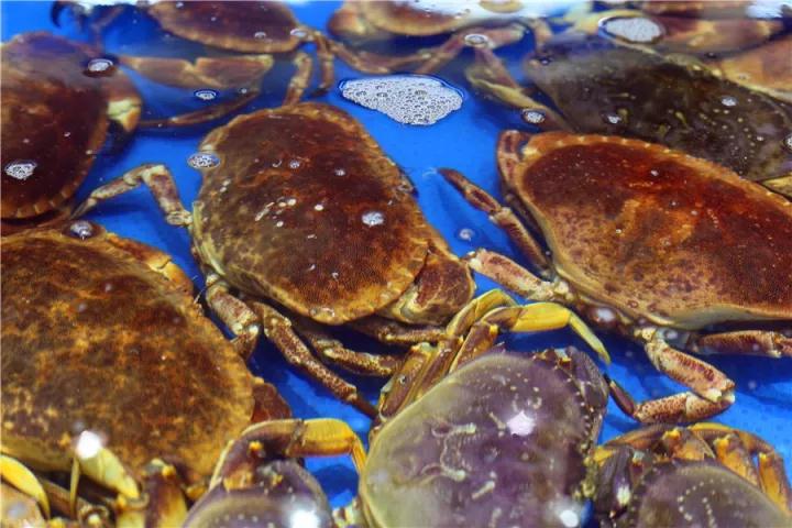 【時代儒商】膠東碼頭海鮮城淮揚菜、魯菜、海鮮超多美味！滿足您的味蕾~~