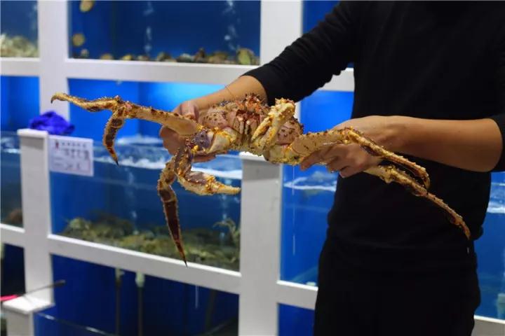 【時代儒商】膠東碼頭海鮮城淮揚菜、魯菜、海鮮超多美味！滿足您的味蕾~~