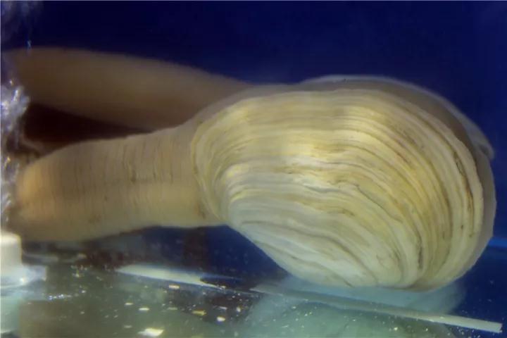 【時代儒商】膠東碼頭海鮮城淮揚菜、魯菜、海鮮超多美味！滿足您的味蕾~~