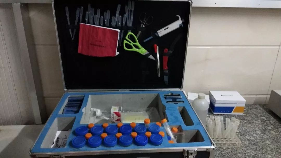 新時(shí)代商廈｜誠(chéng)信315 信用讓消費(fèi)更放心！