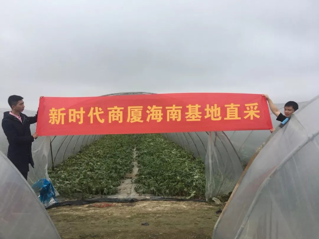 新時(shí)代商廈｜誠(chéng)信315 信用讓消費(fèi)更放心！